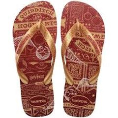 HAV HARRY POTTER MOGNO 39/40 (12)