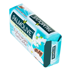 SAB PALM ESFOLIA DELI JASMIM 1X85G(108)