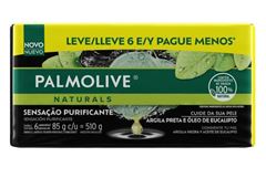SAB PALM ARGILA E EUCALIPTO 6X85G (12)