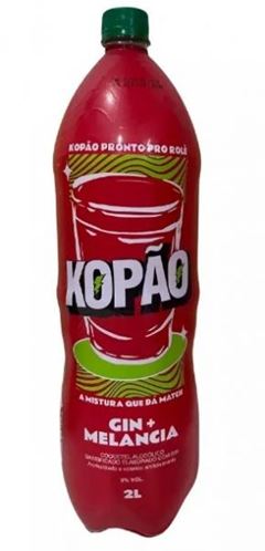KOPÃO GIN + MELANCIA 2L (6)