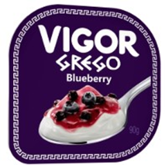 IOGURT GREGO BLUEBERRY VIGOR 1X90G(24